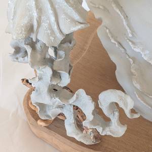 Alma detail